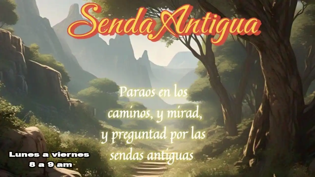 WhatsApp Image 2025-09-04 at 9.17.23 AM